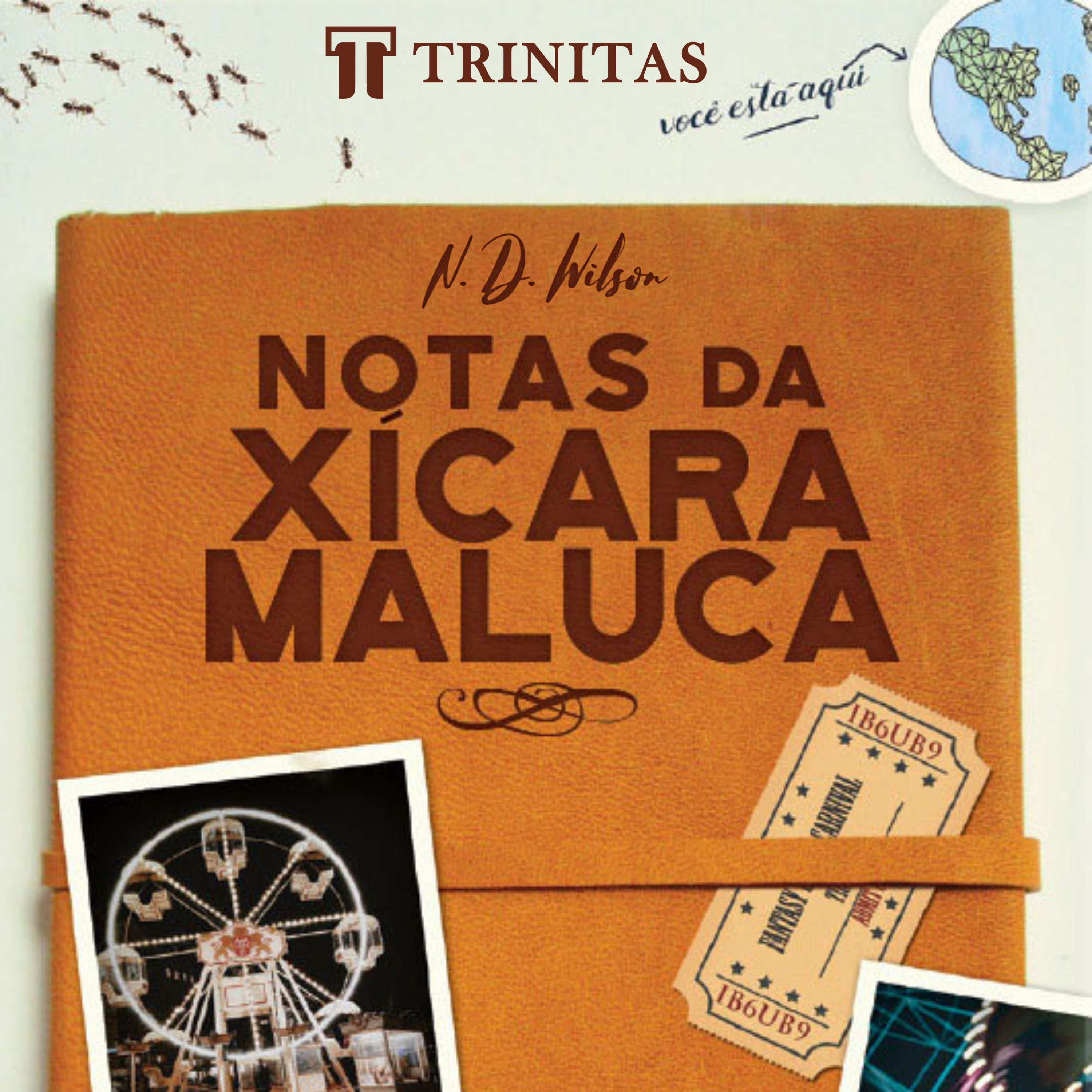 Notas da xícara maluca