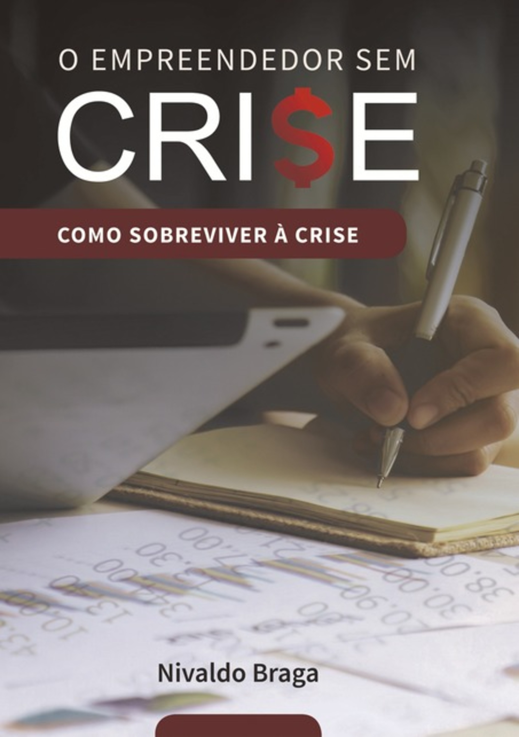 O Empreendedor Sem Crise