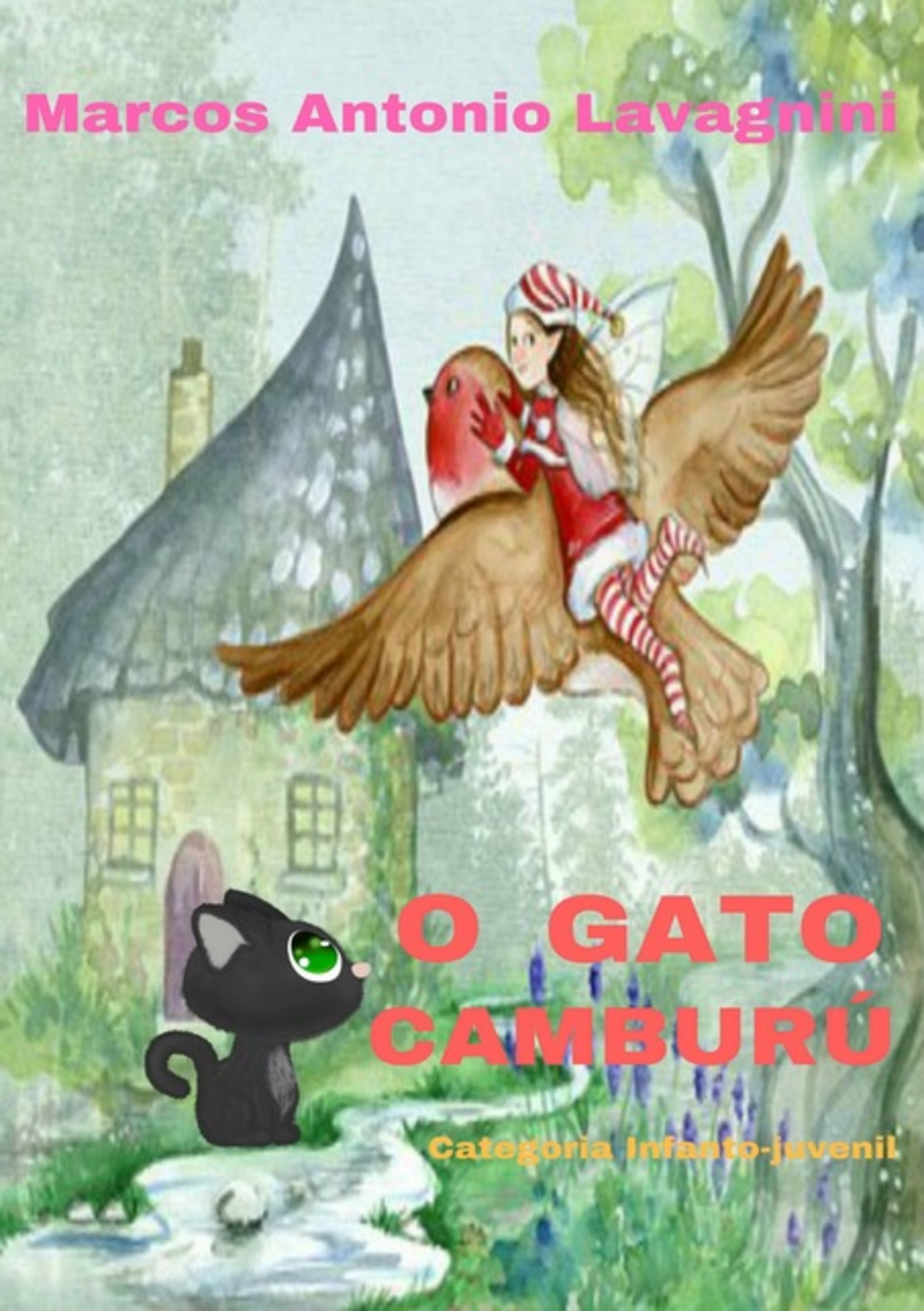 O Gato Camburú