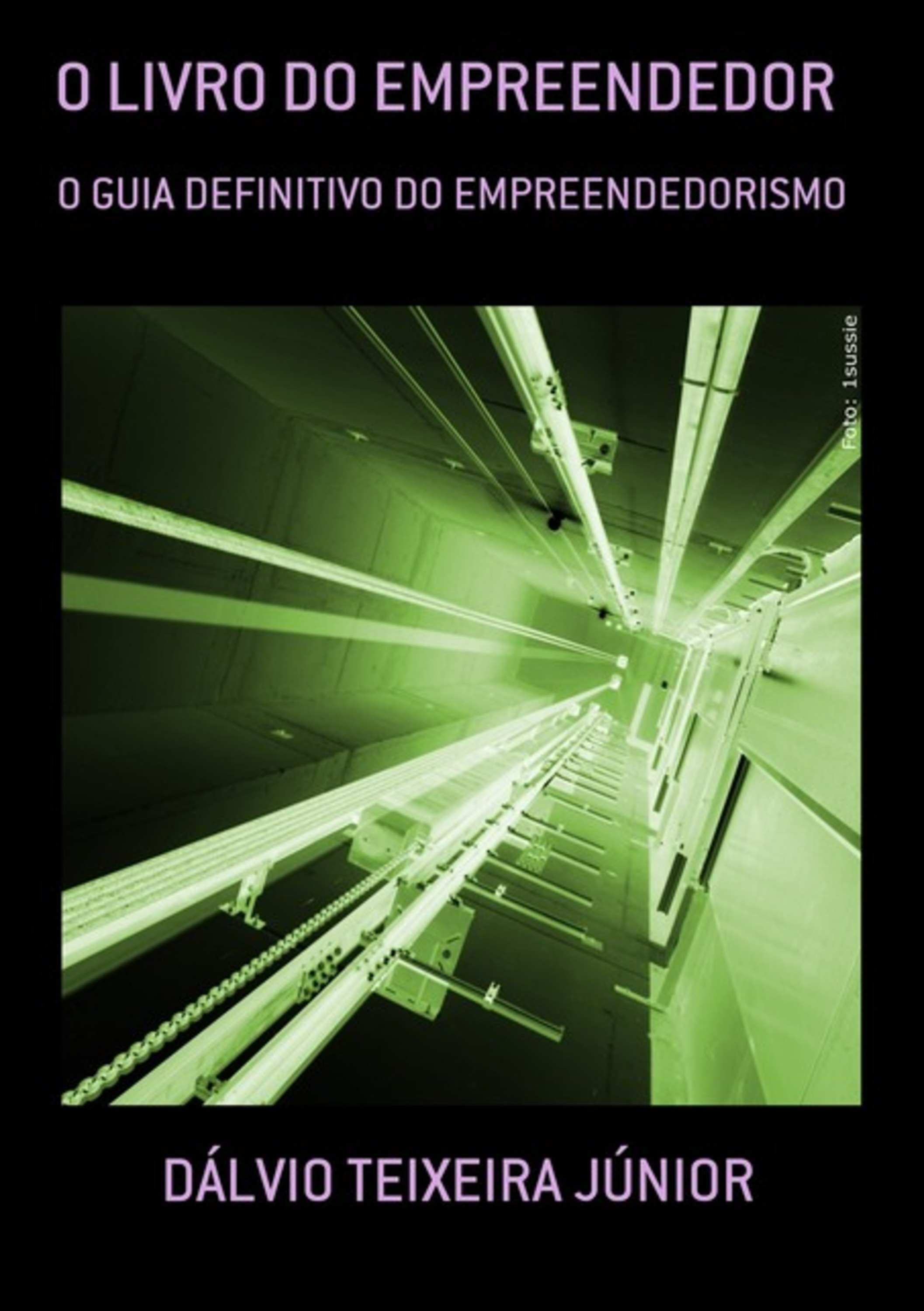 O Livro Do Empreendedor