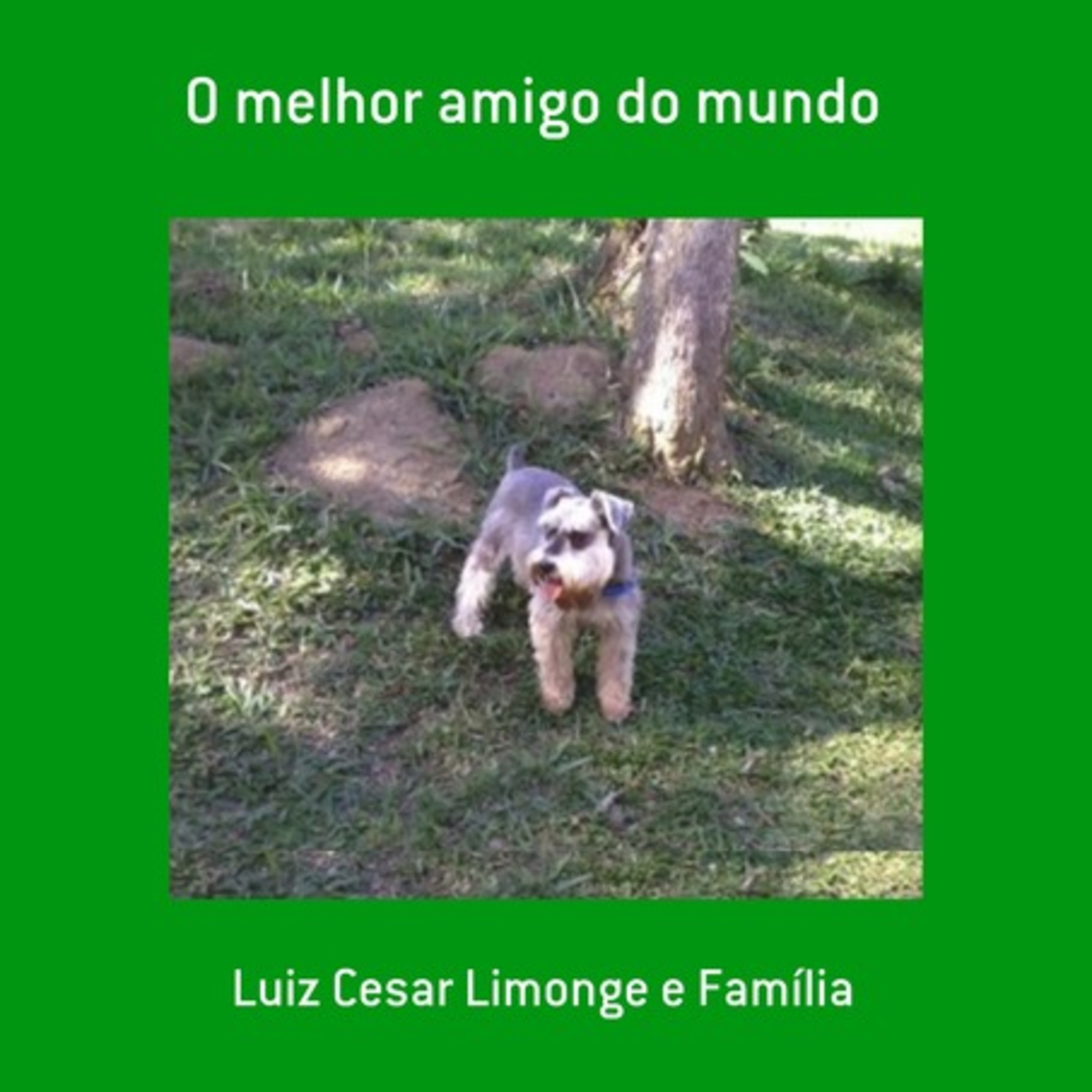 O Melhor Amigo Do Mundo