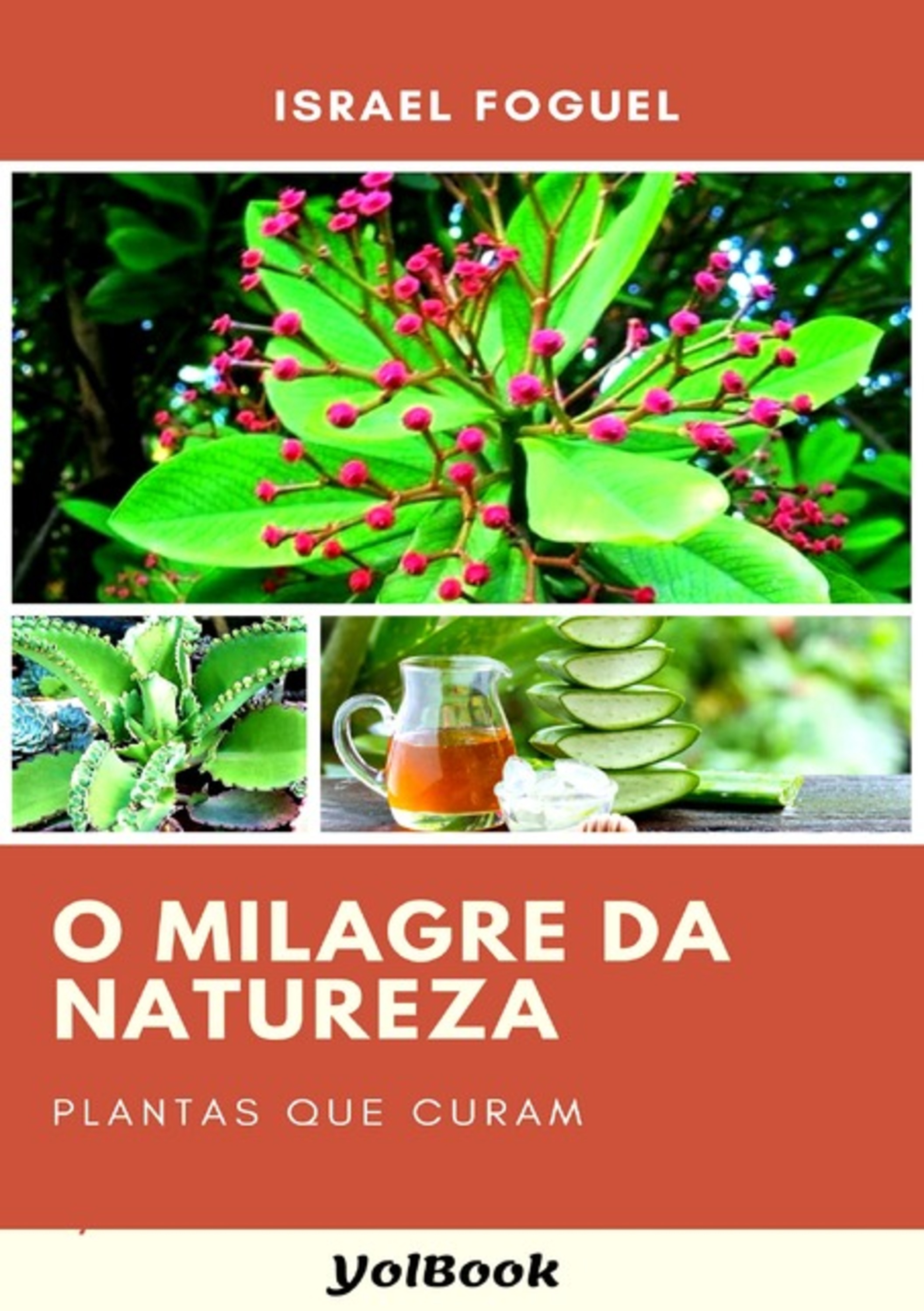 O Milagre Da Natureza