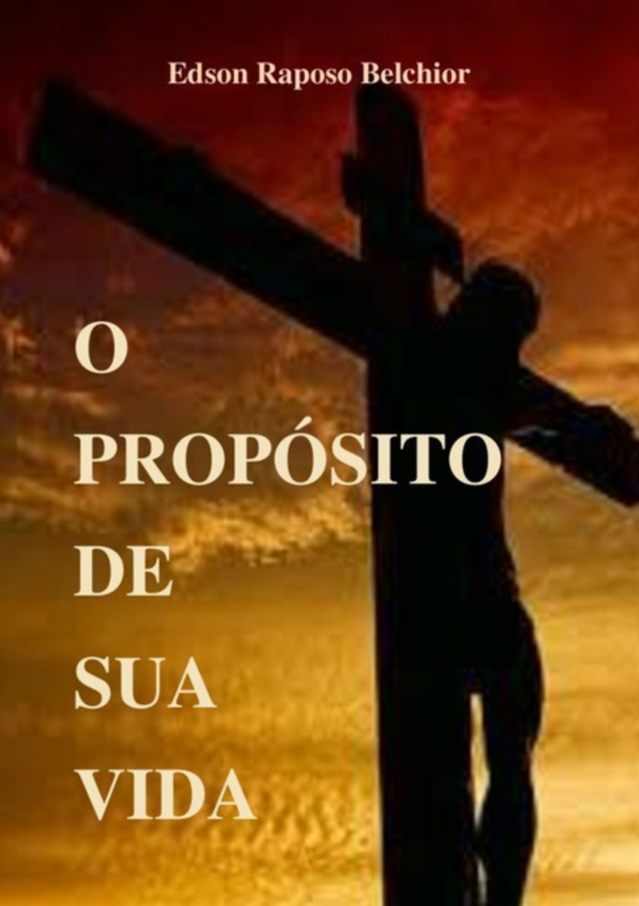 O Propósito De Sua Vida