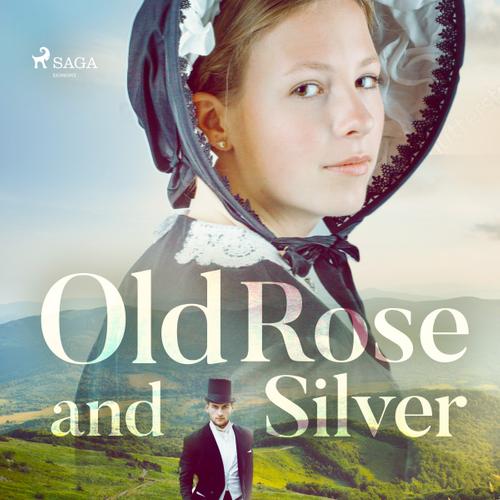 Old Rose and Silver