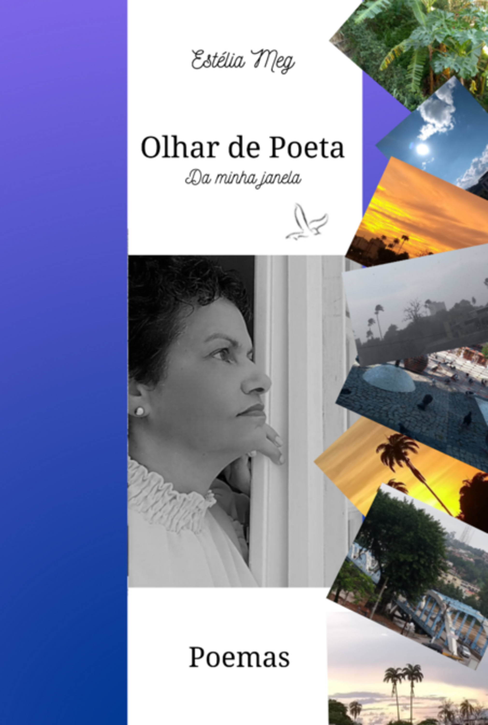 Olhar De Poeta