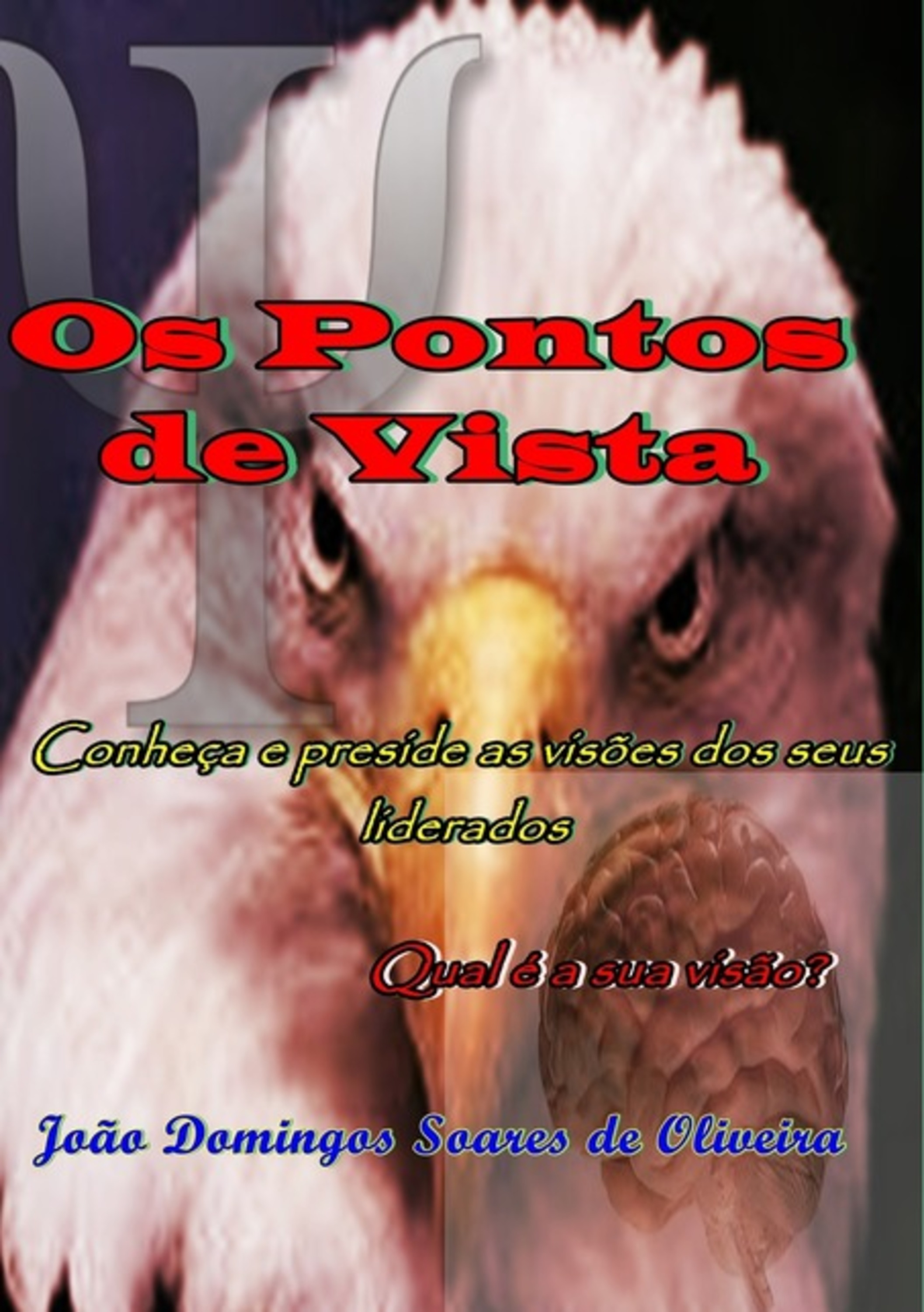 Os Pontos De Vista