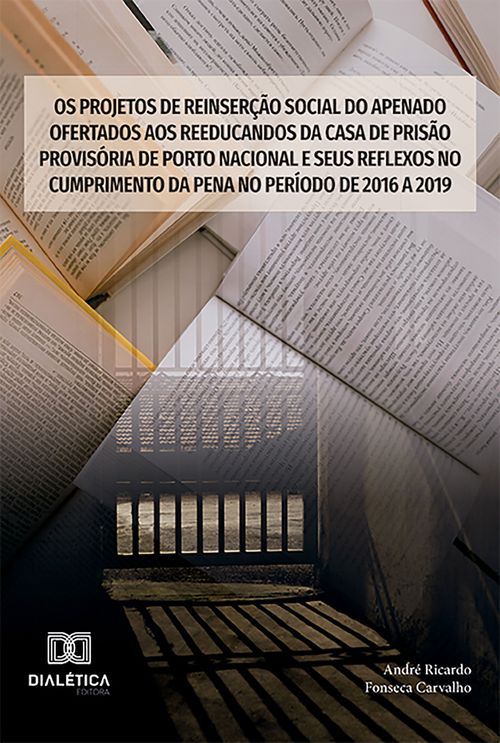 Os projetos de reinserção social do apenado ofertados aos reeducandos da Casa de Prisão Provisória de Porto Nacional e seus reflexos no cumprimento da pena no período de 2016 a 2019