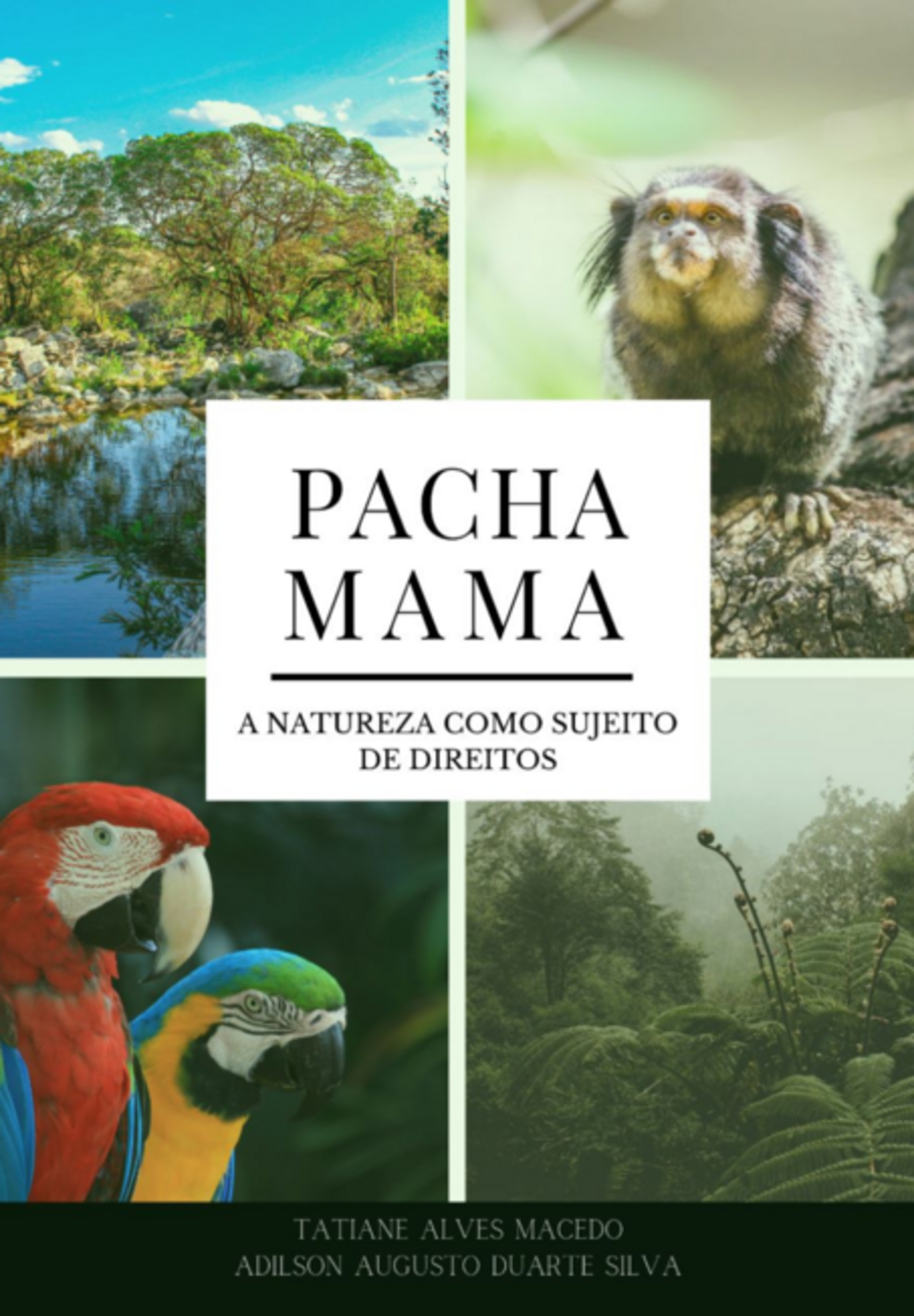 Pachamama: