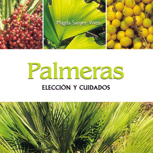 Palmeras - Elección y cuidados