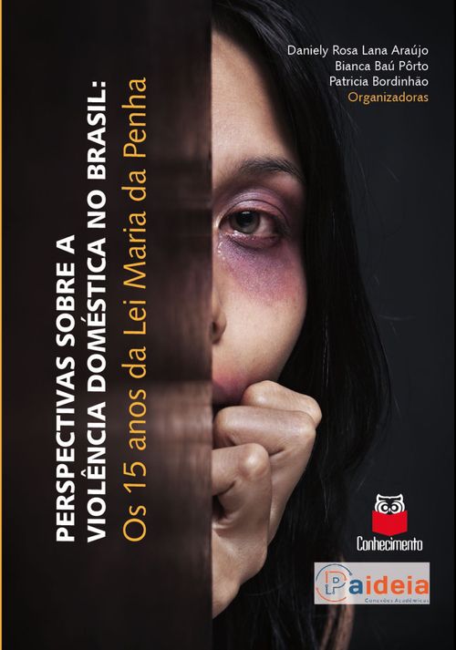 Perspectivas sobre a violência doméstica no Brasil