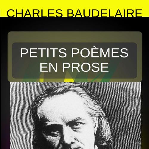 Petits Poèmes en prose