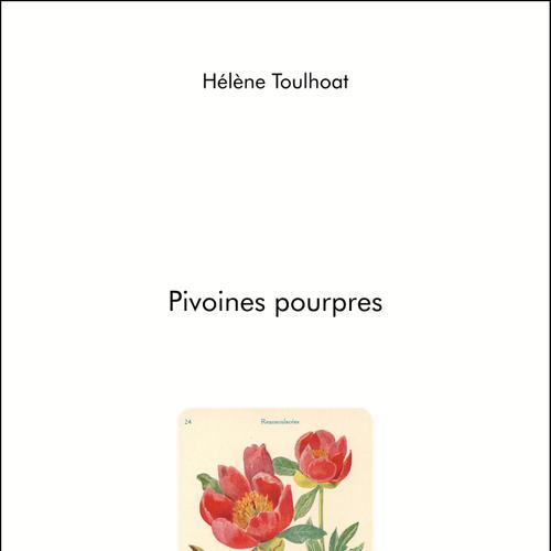 Pivoines pourpres