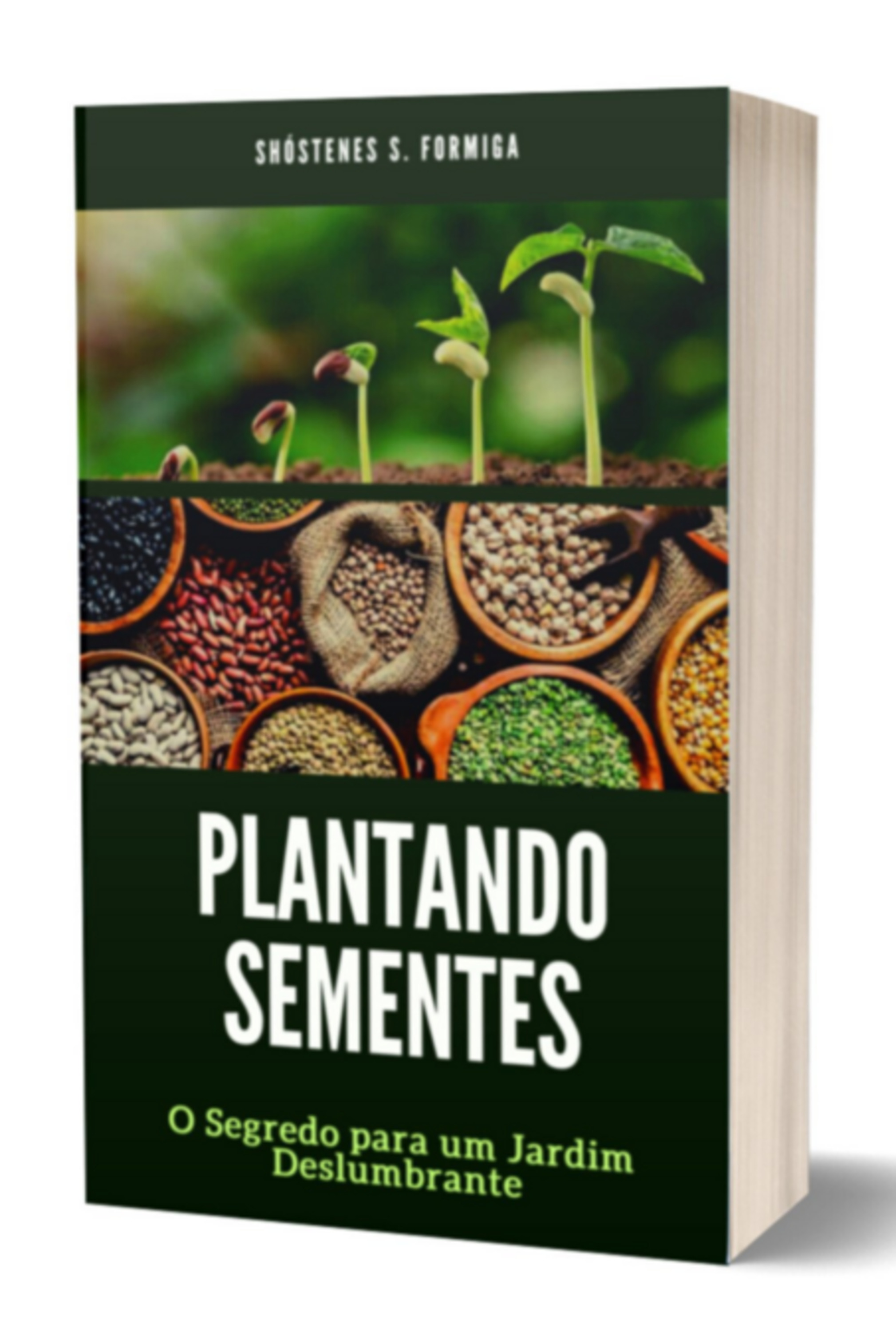 Plantando Sementes