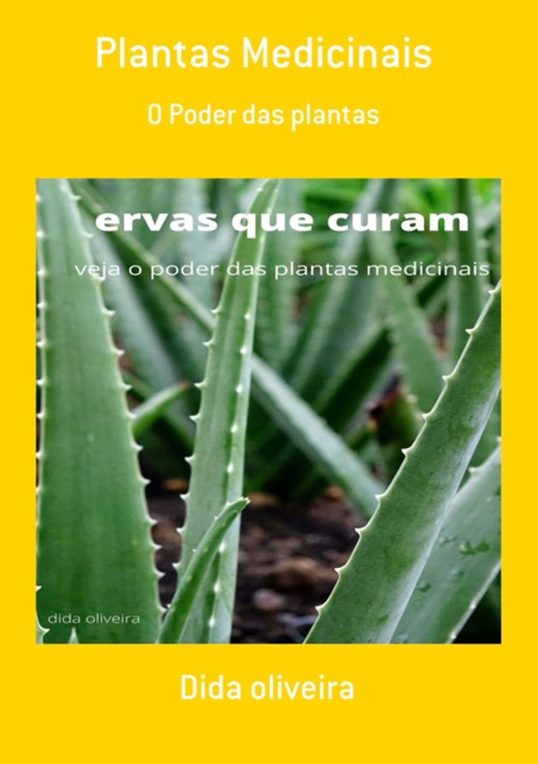 Plantas Medicinais