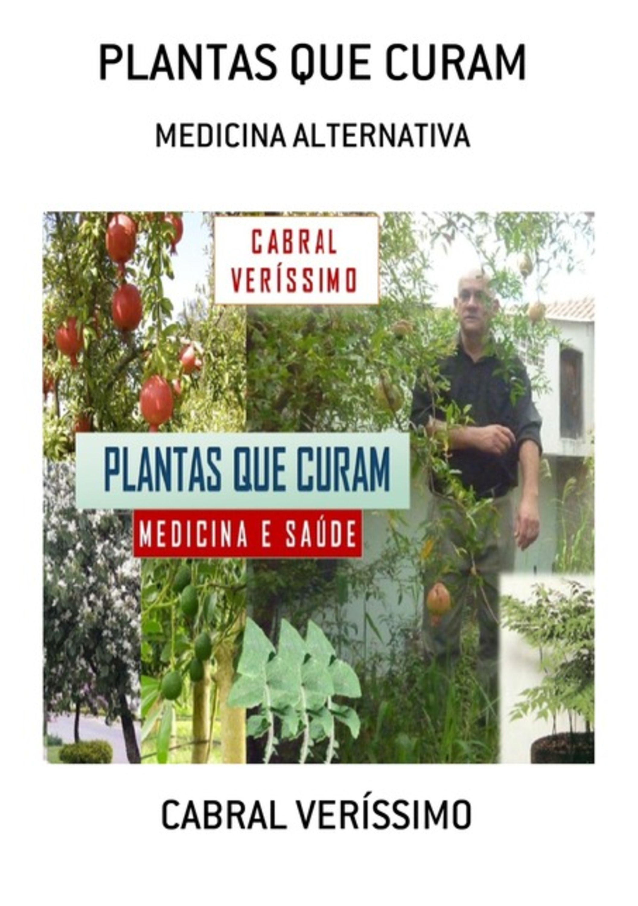 Plantas Que Curam