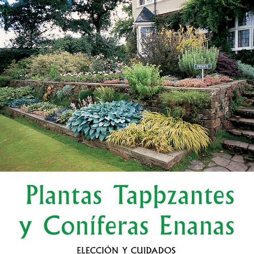 Plantas tapizantes y coníferas enanas