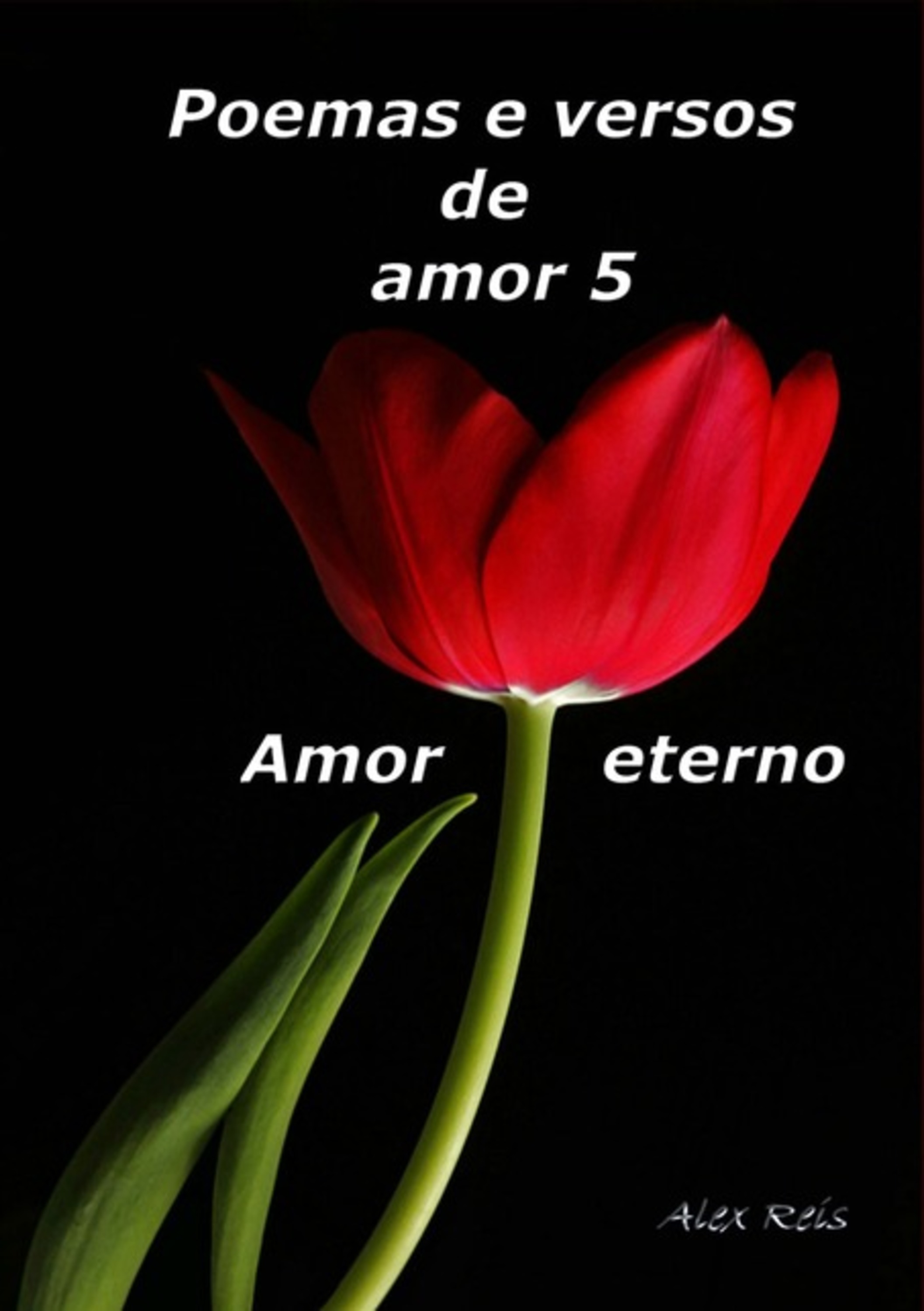 Poemas E Versos De Amor 5