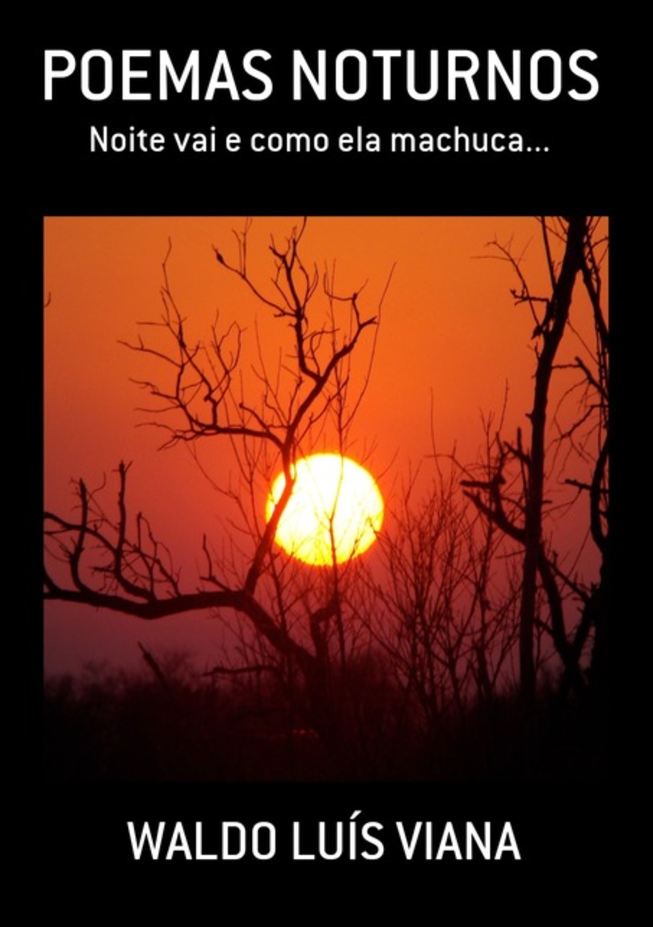 Poemas Noturnos