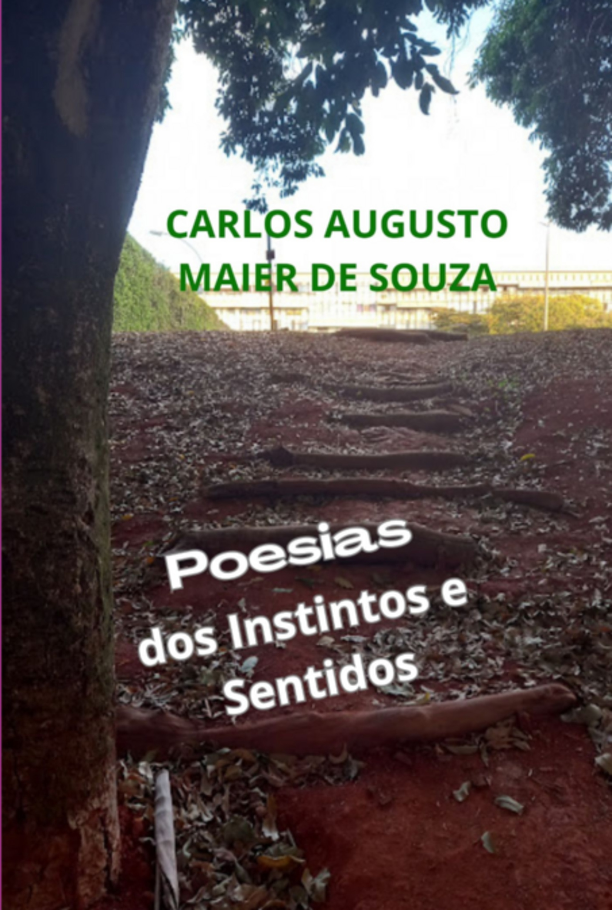 Poesias Dos Instintos E Sentidos