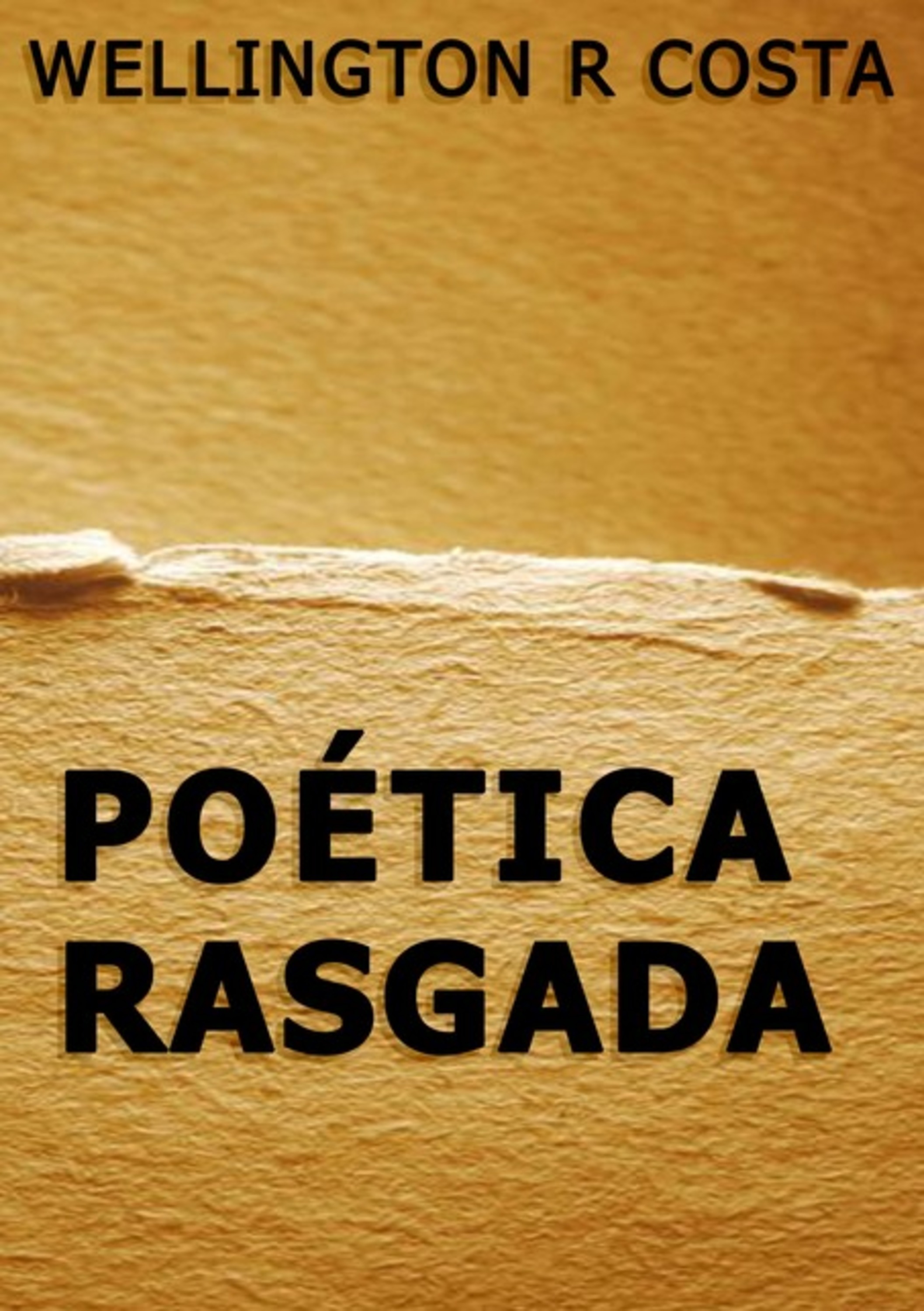 Poética Rasgada