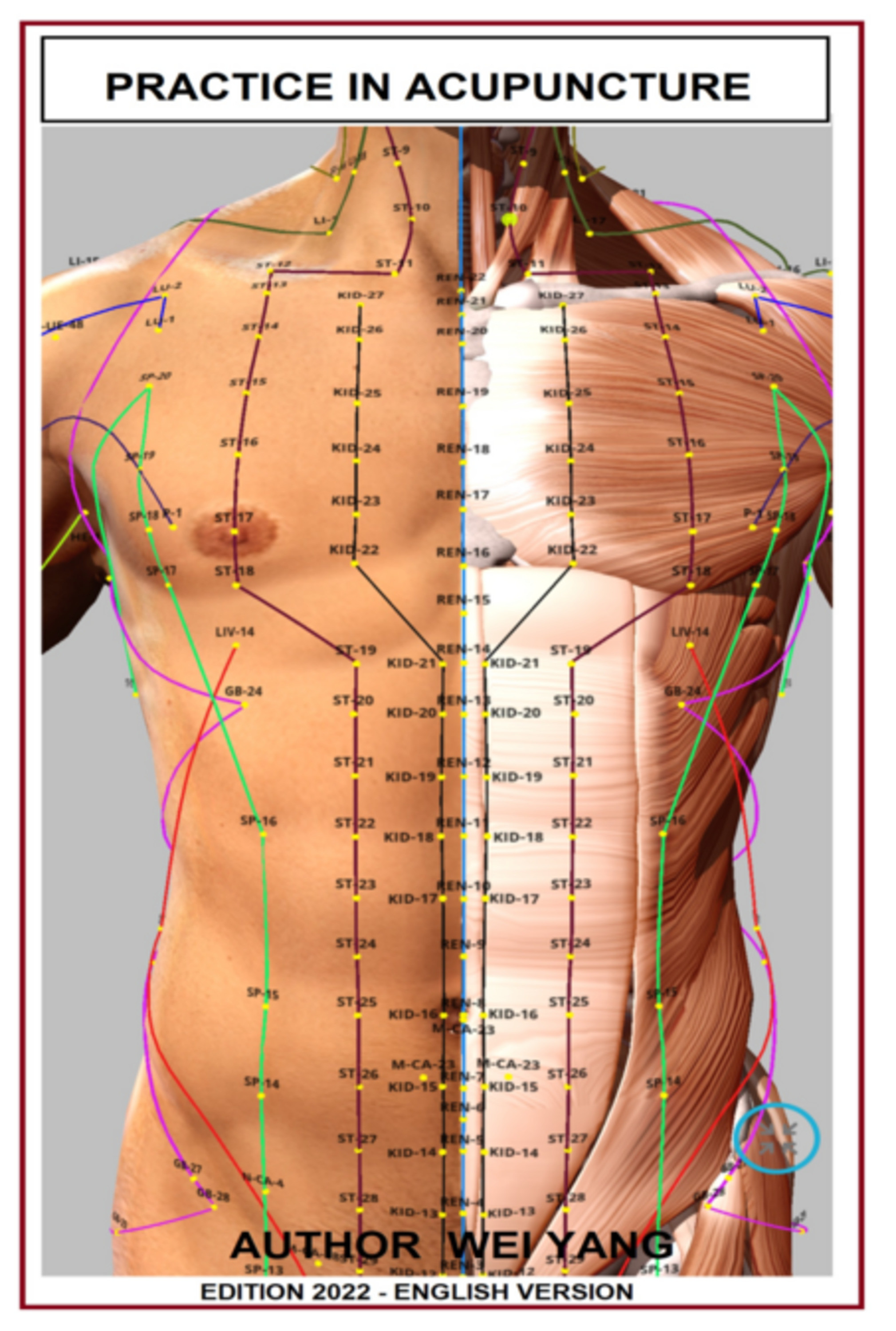 Practic In Acupuncture