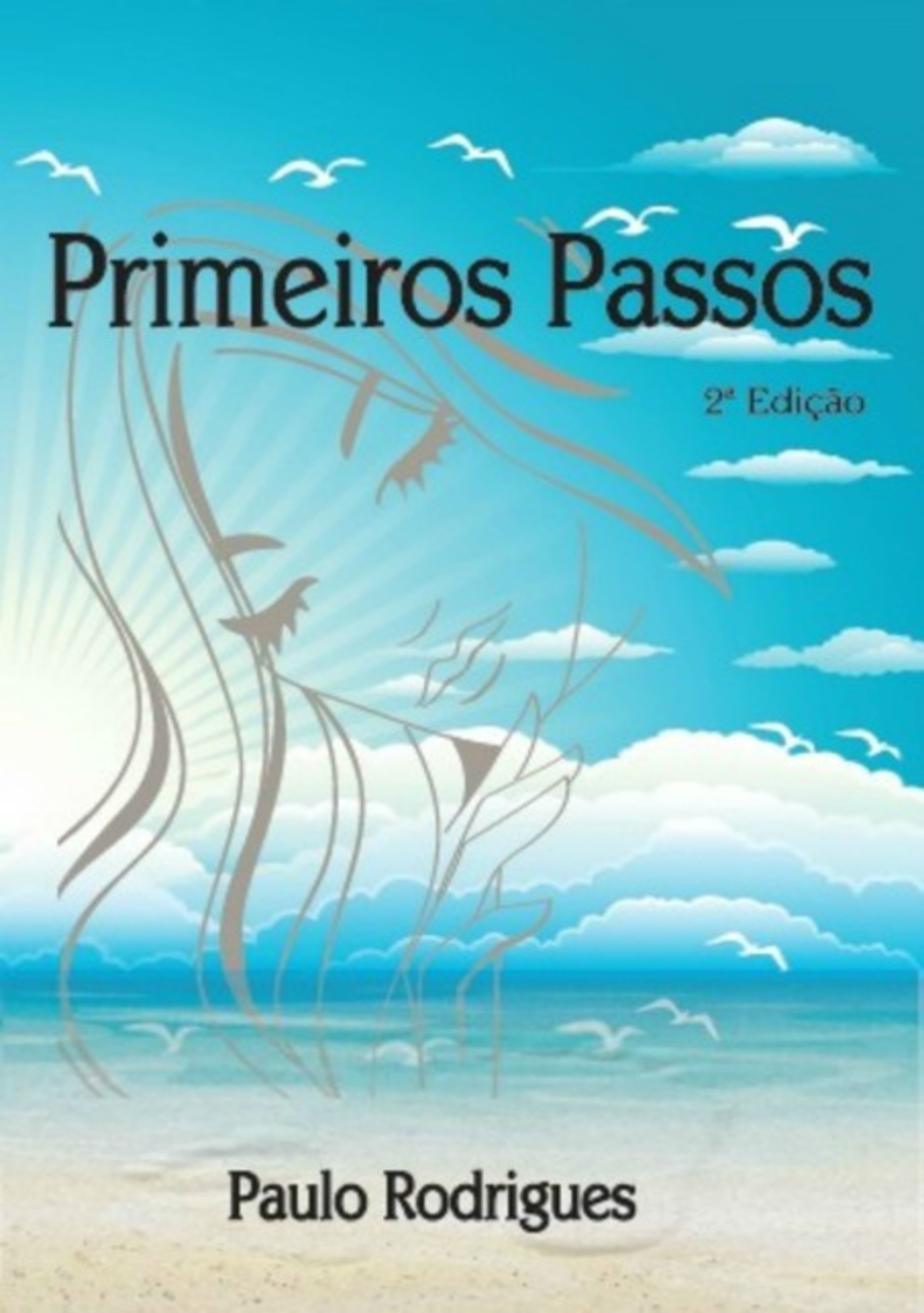 Primeiros Passos