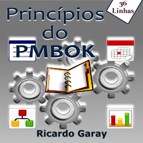 Princípios do PMBOK