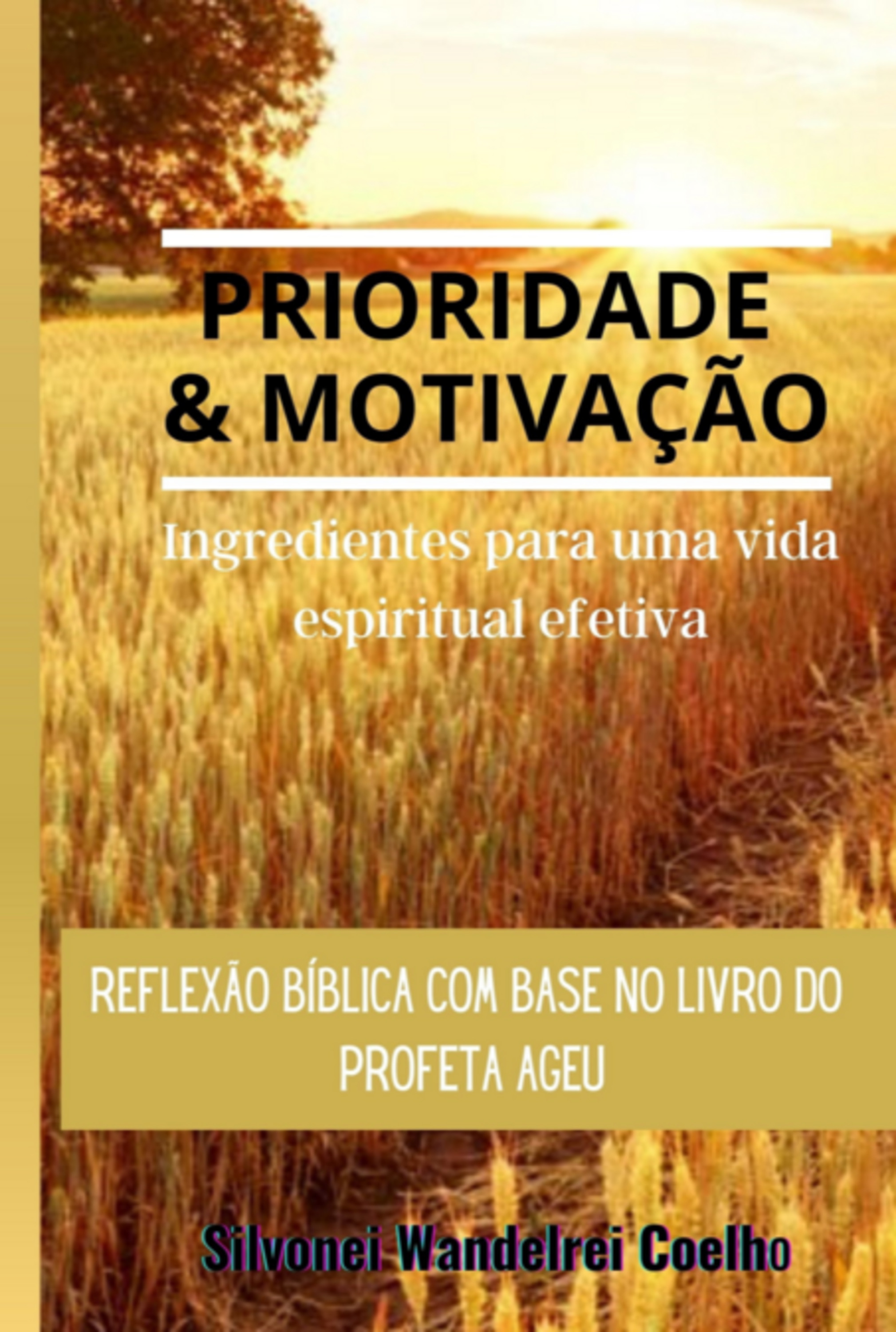 Prioridade E Motivação