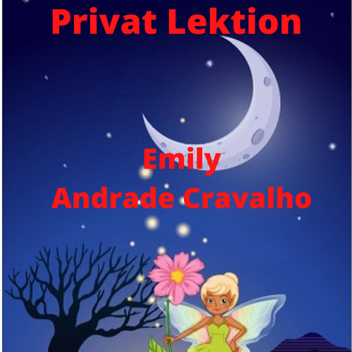 privat lektion 