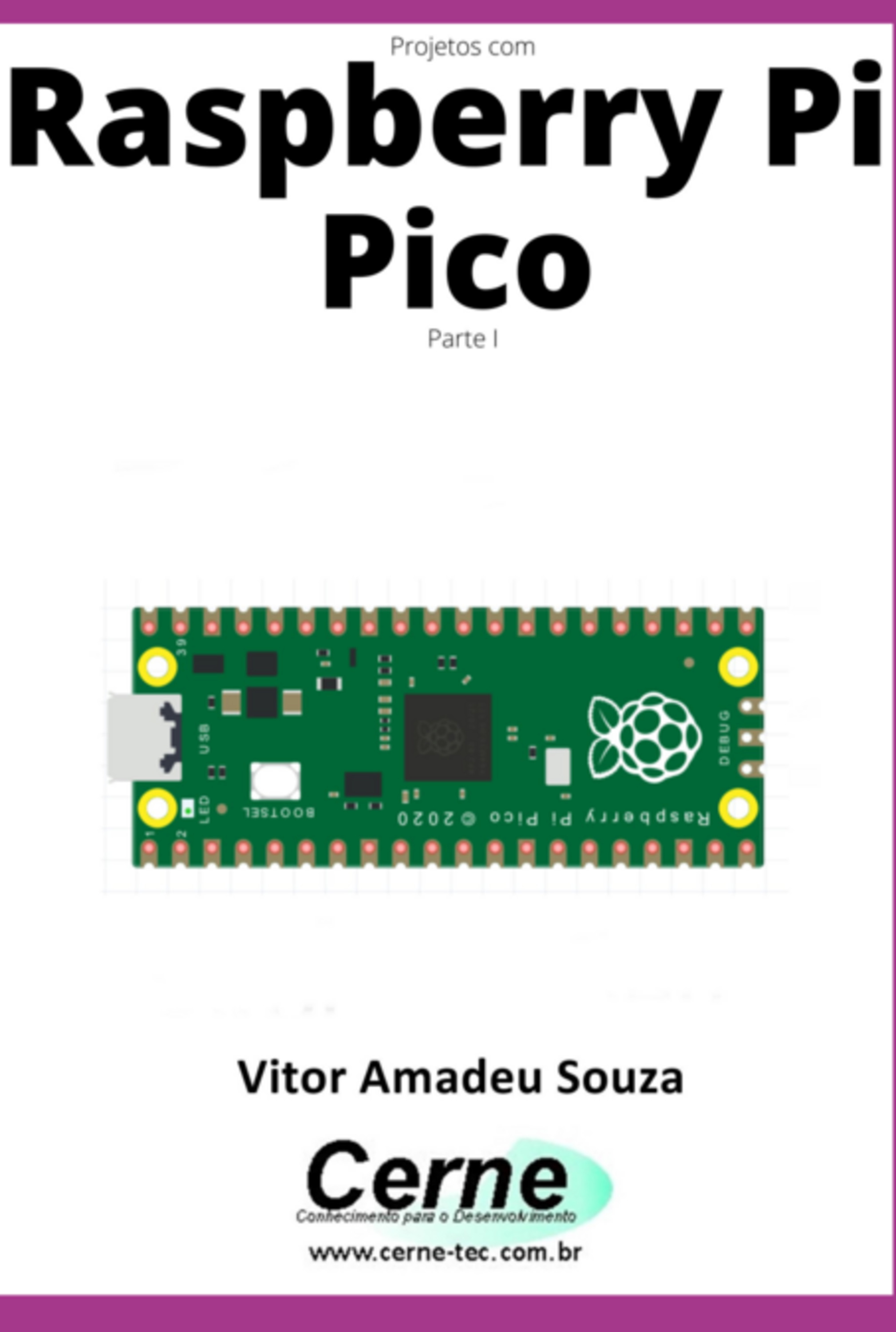 Projetos Com Raspberry Pi Pico Parte I