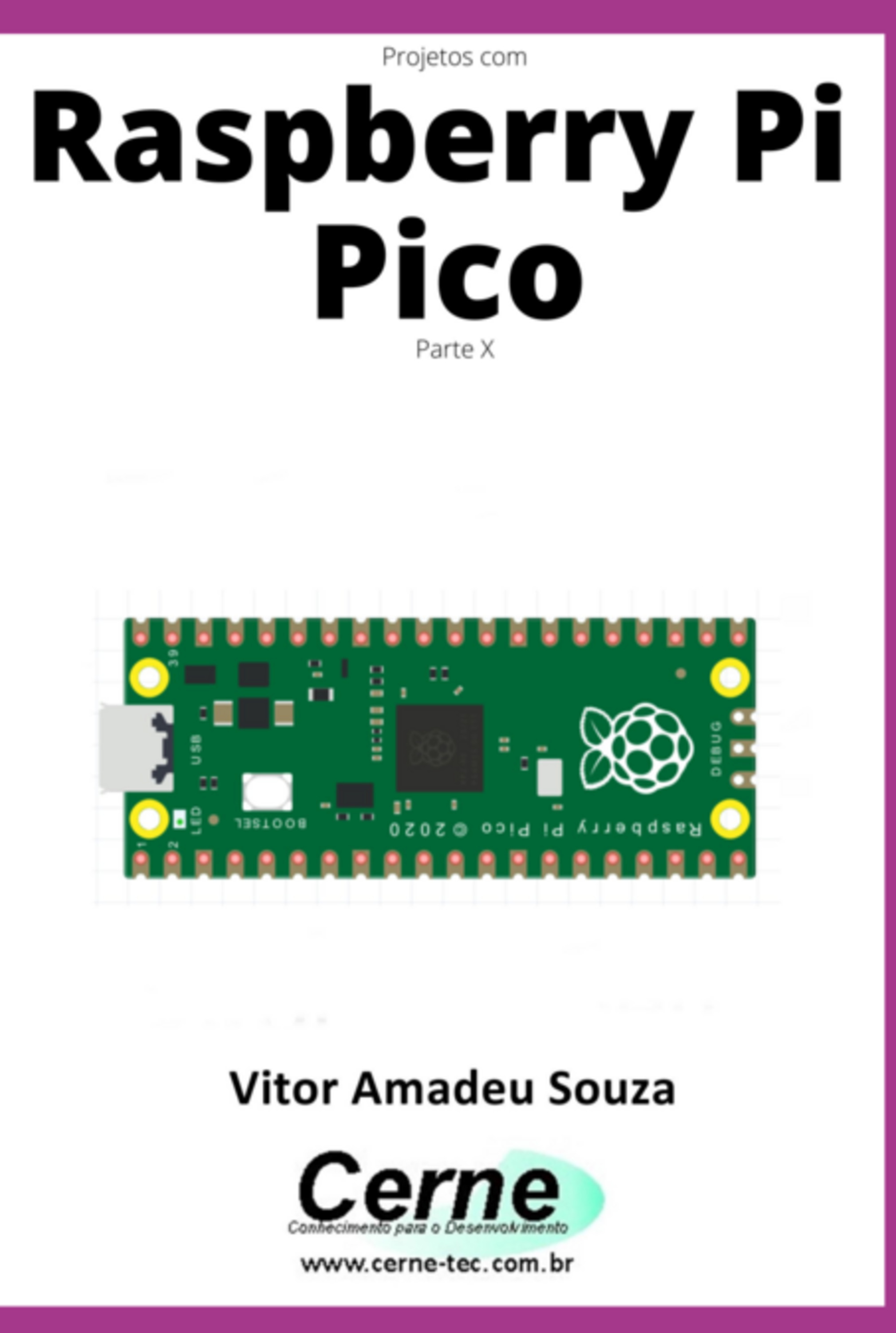 Projetos Com Raspberry Pi Pico Parte X