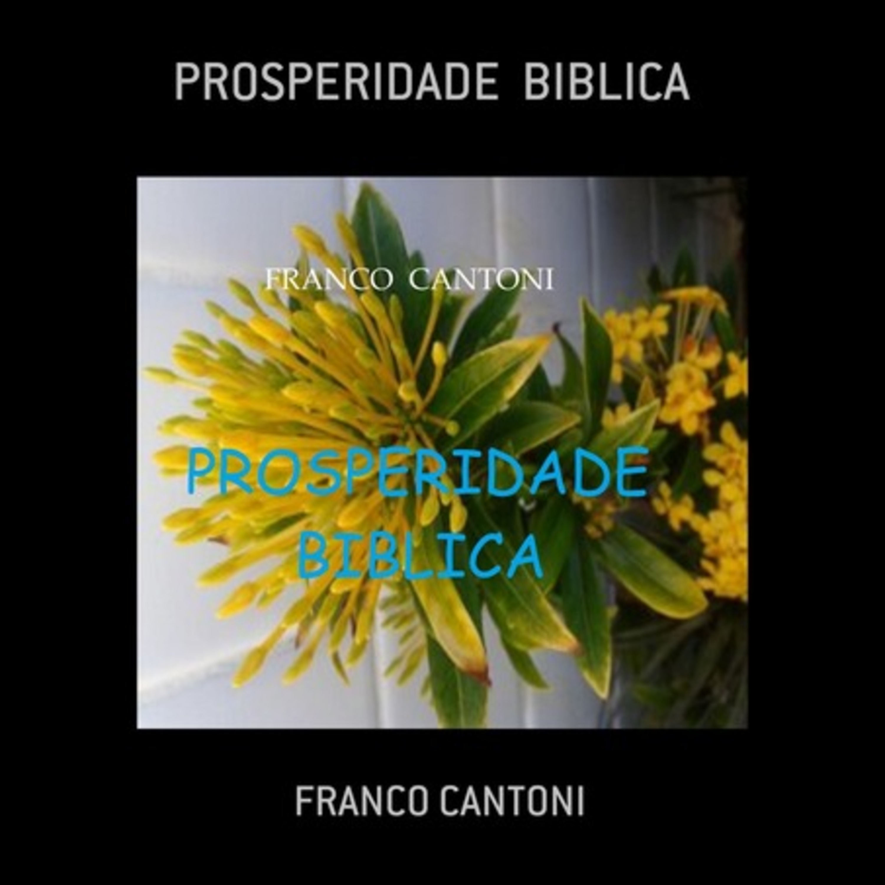 Prosperidade Biblica