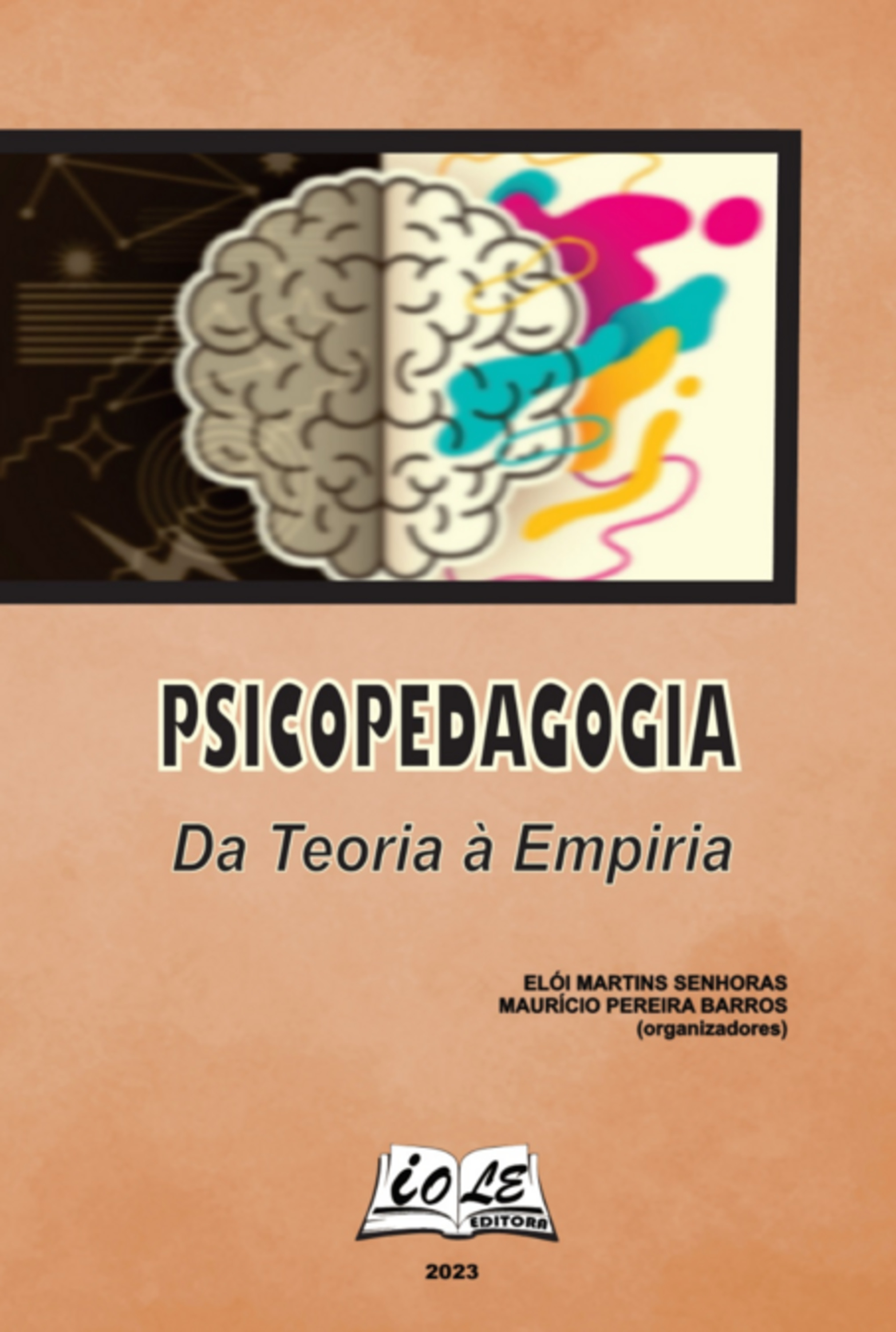 Psicopedagogia: Da Teoria À Empiria