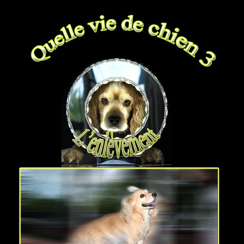 Quelle vie de chien 3 L'enlèvement