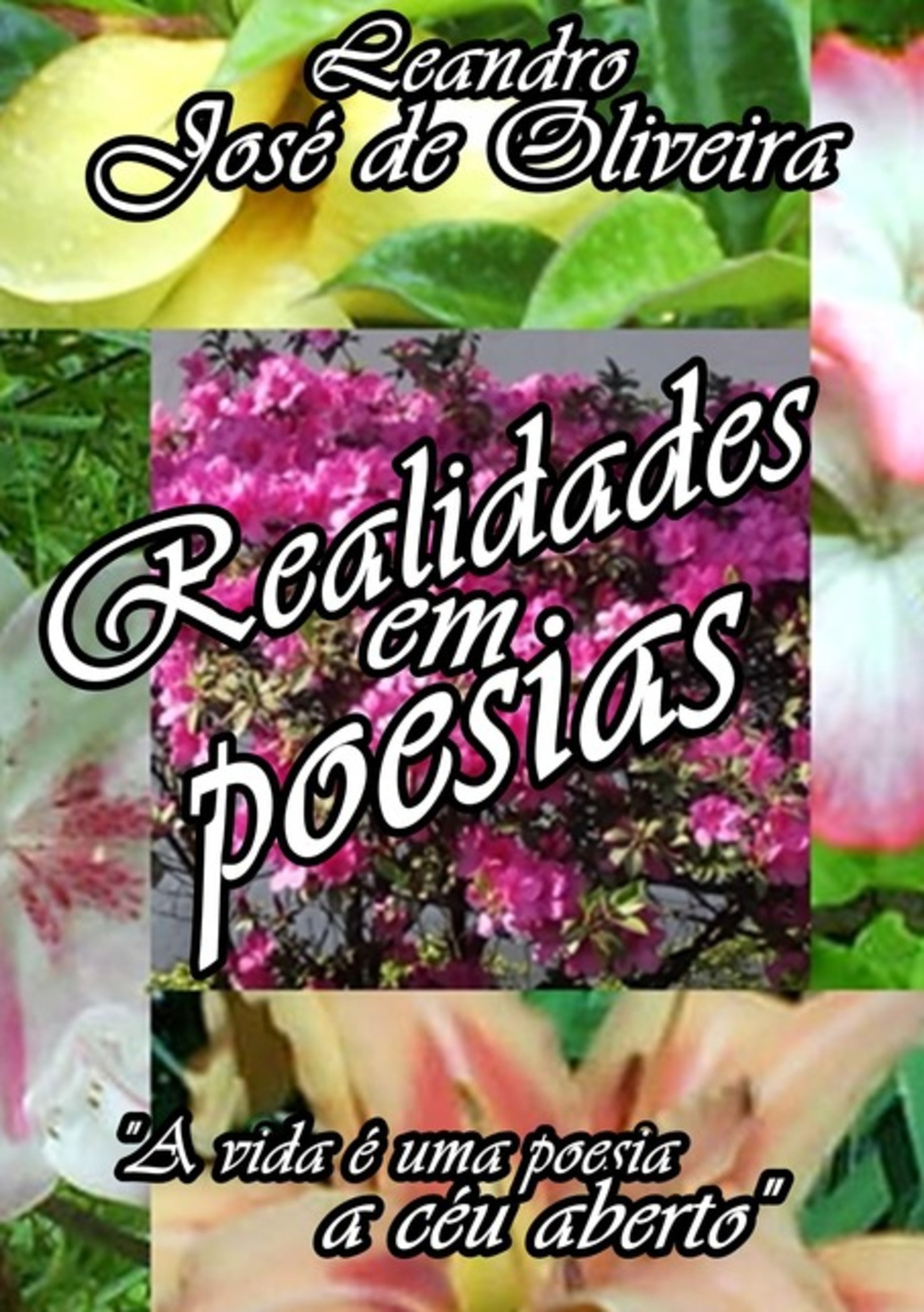 Realidades Em Poesias