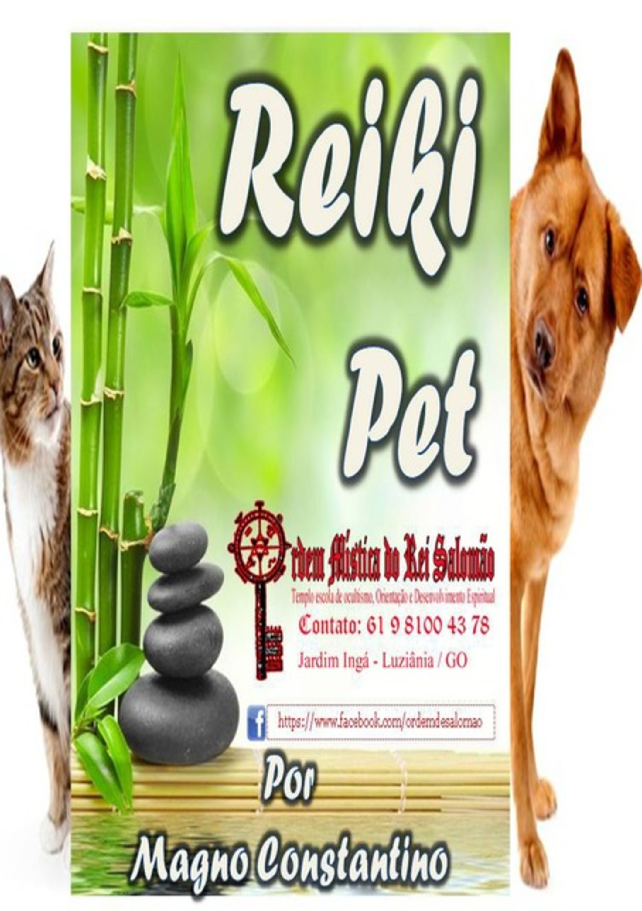 Reiki Pet