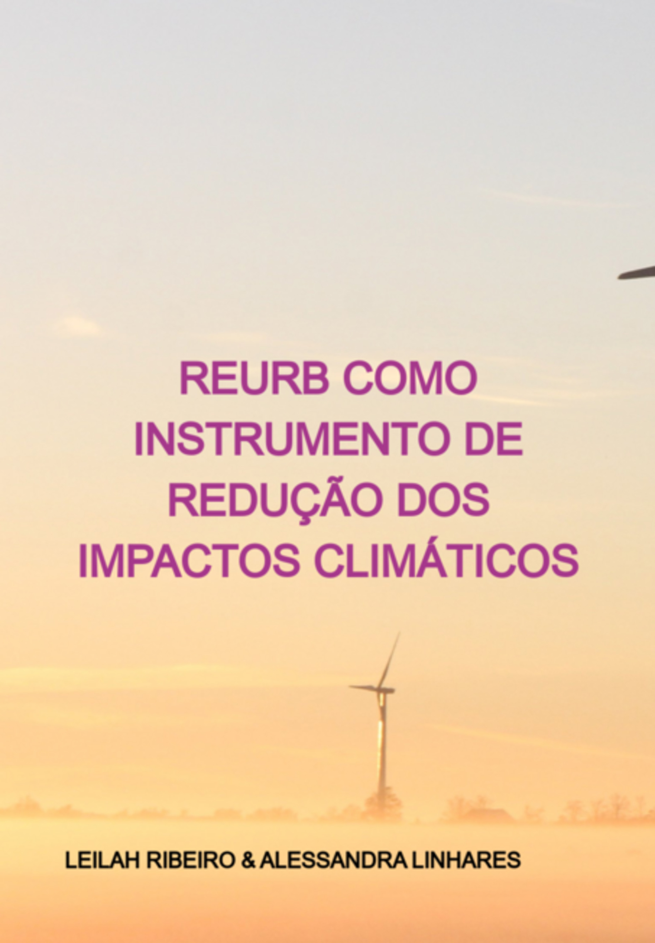 Reurb Como Instrumento De Redução Dos Impactos Climáticos