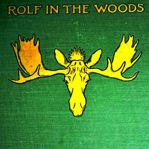 Rolf in the Woods: The Adventures of a Boy Scout with Indian Quonab and Little Dog Skookum