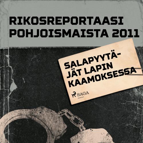 Salapyytäjät Lapin kaamoksessa