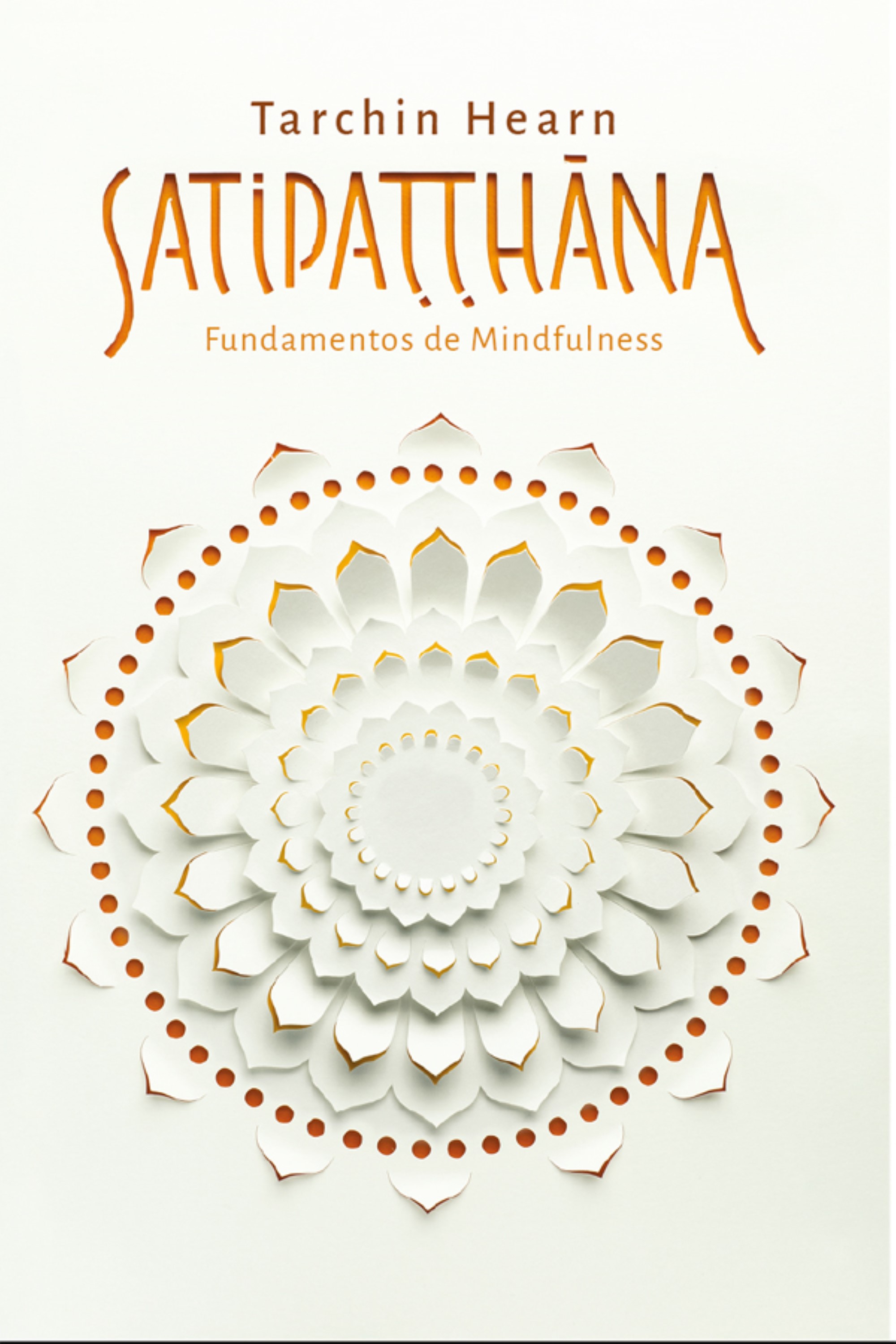 SATIPATTAHANA