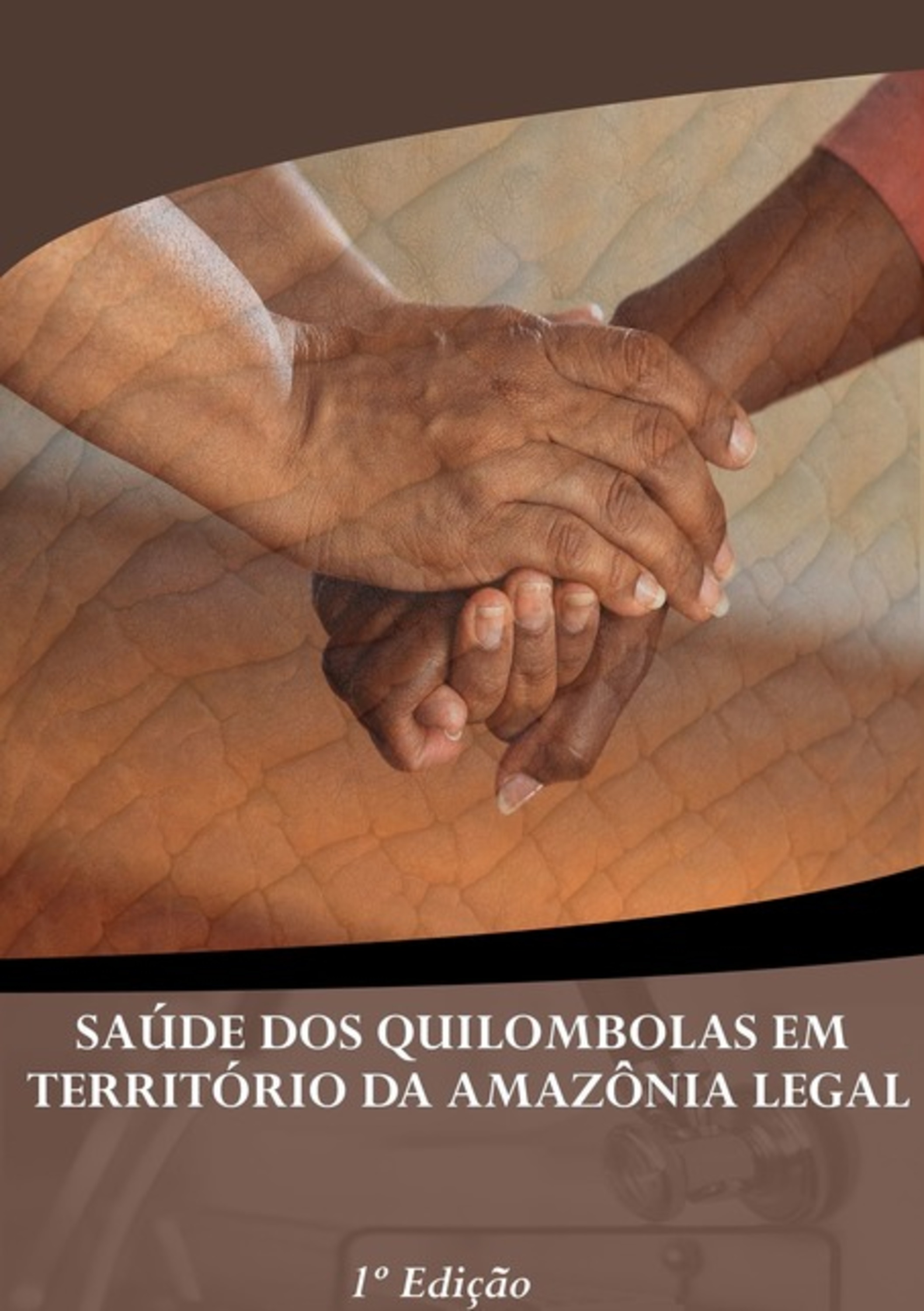 Saúde Dos Quilombolas Em Território Da Amazônia Legal