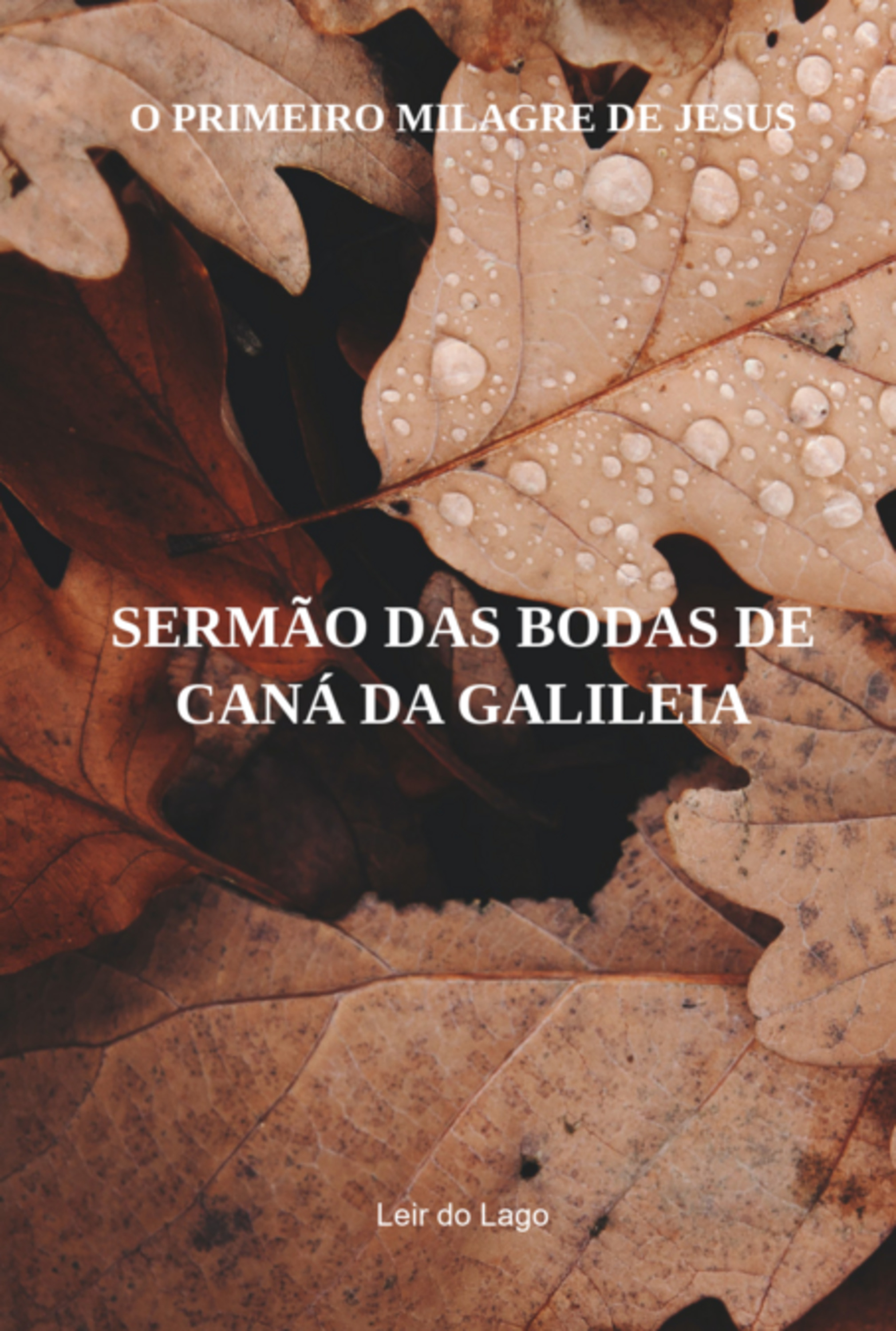 Sermão Das Bodas De Caná Da Galileia