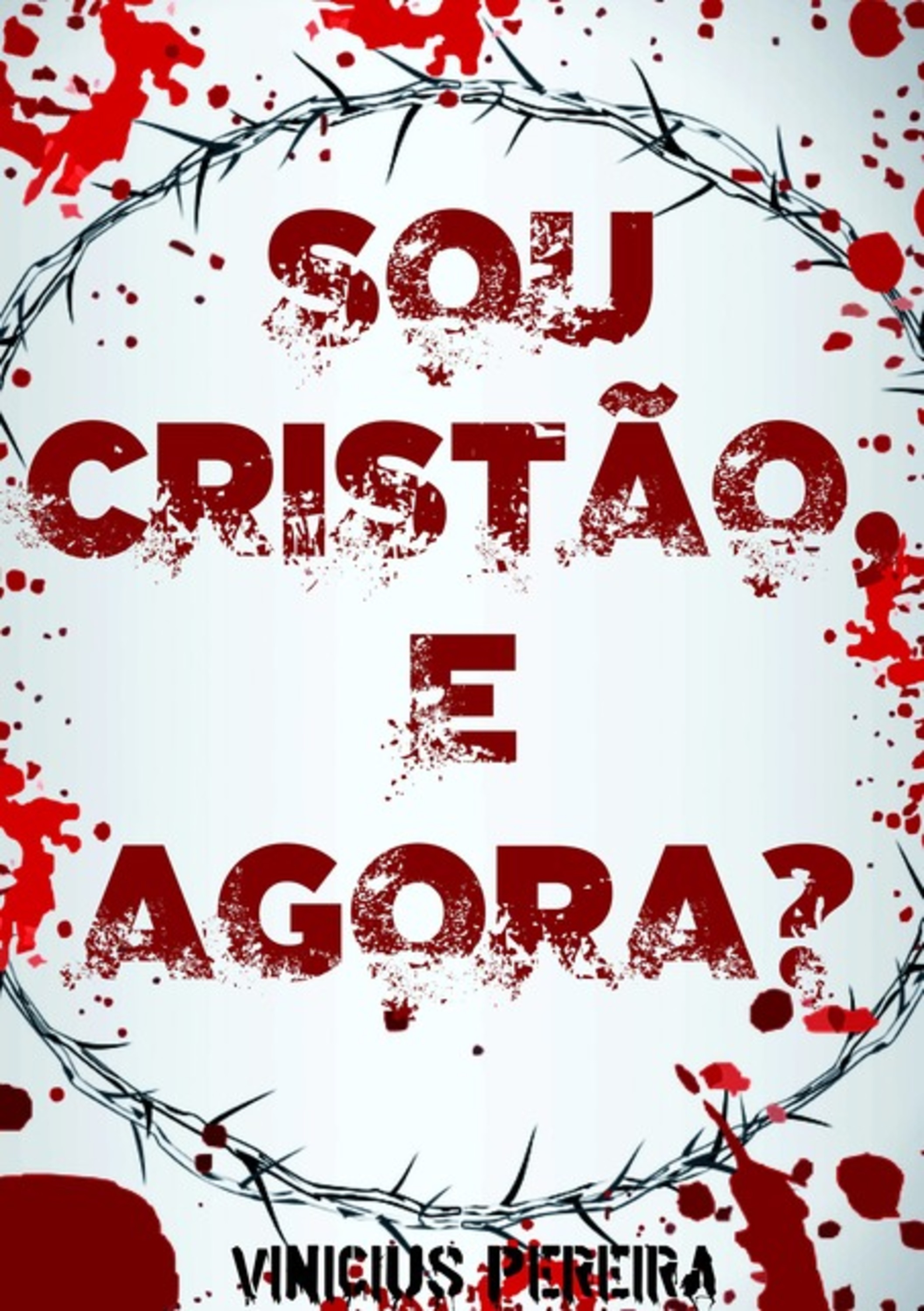 Sou Cristão, E Agora?