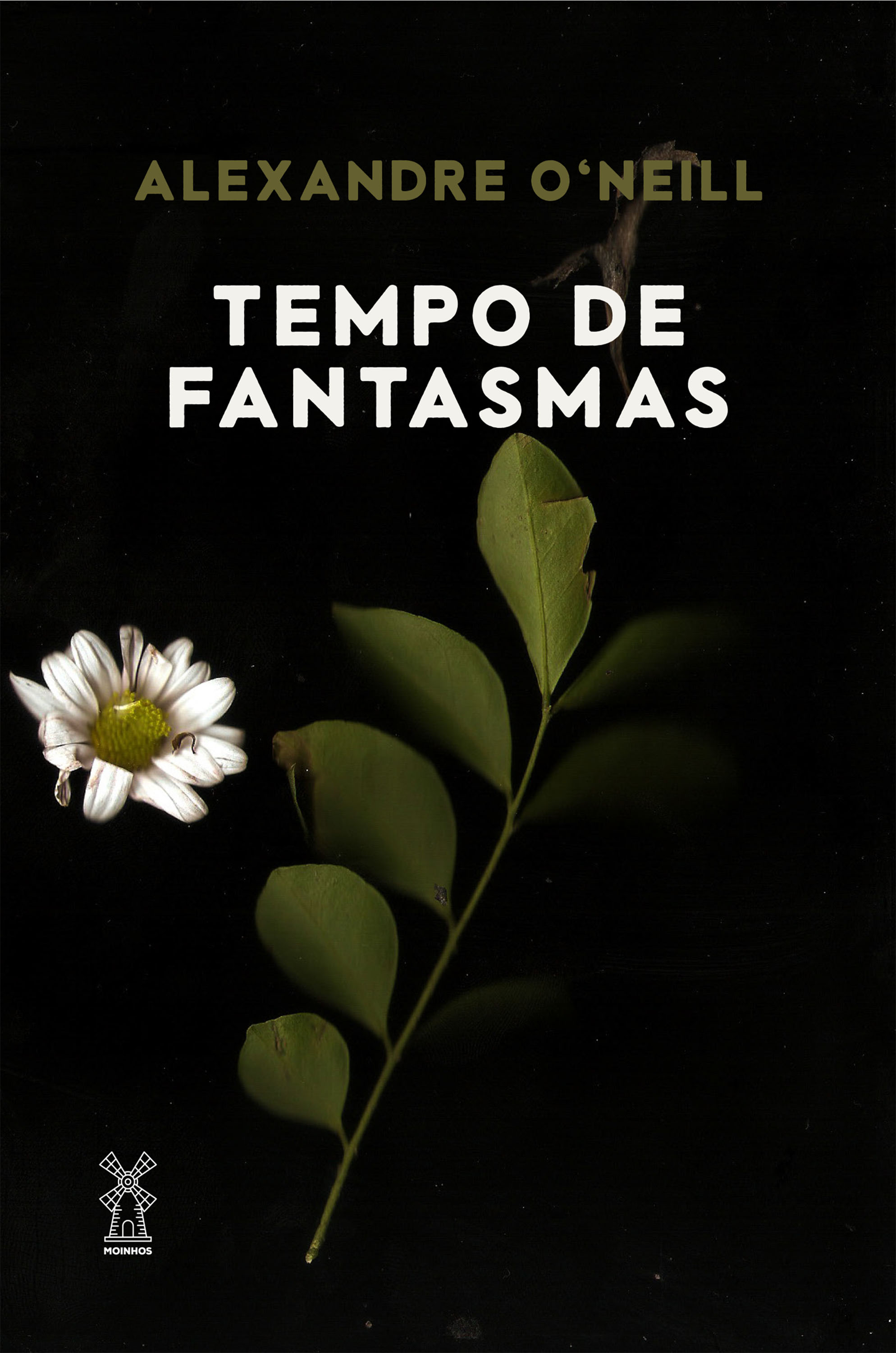 Tempo de fantasmas