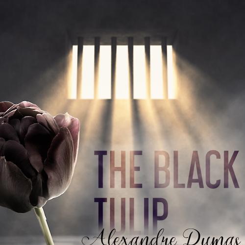 The Black Tulip