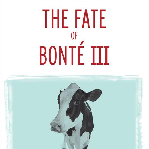 The Fate of Bonté III