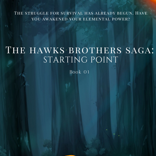 The Hawks Brothers Saga: Starting Point - Book 01