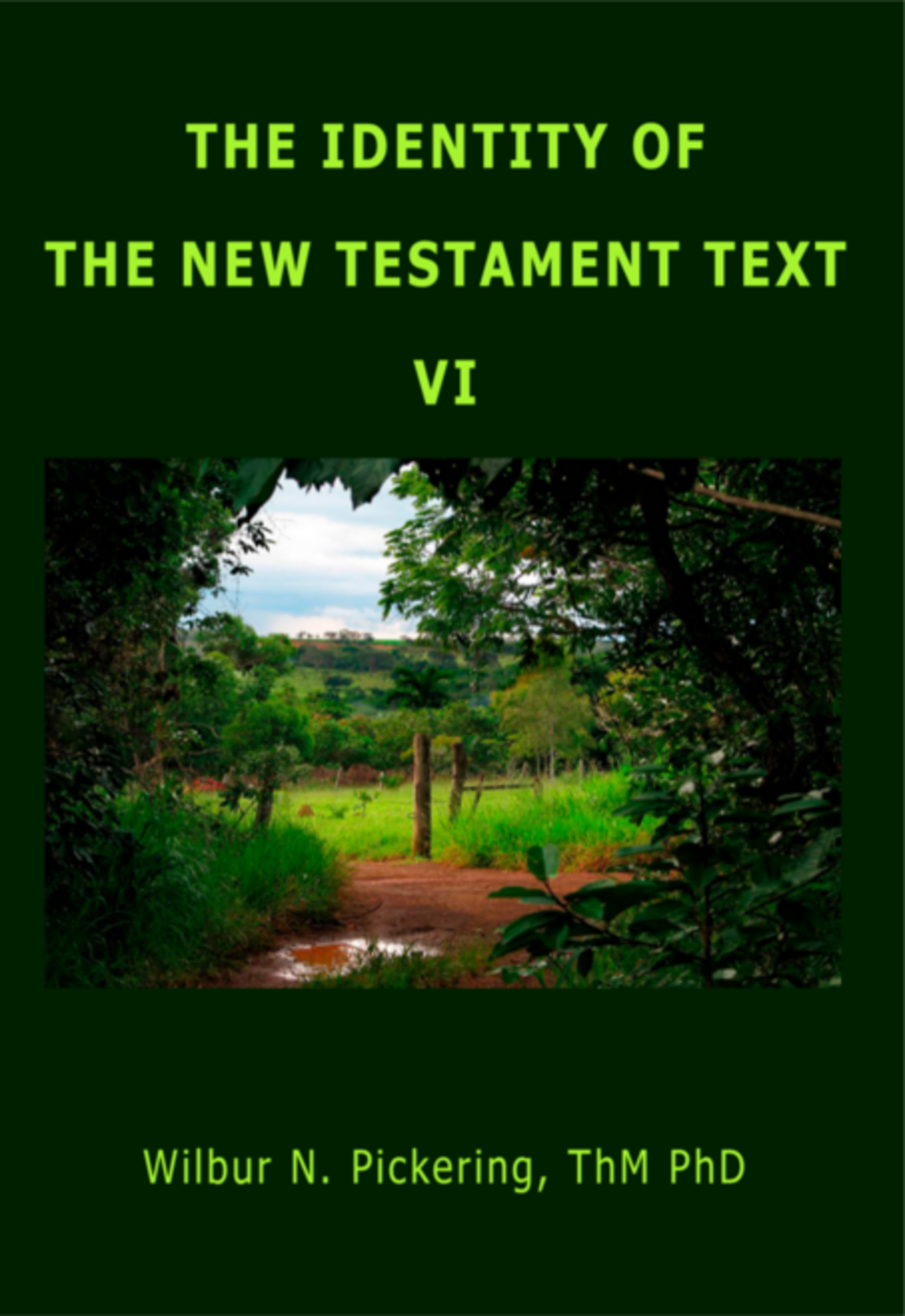 The Identity Of The New Testament Text Vi