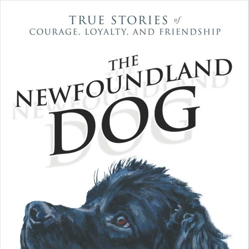 The Newfoundland Dog