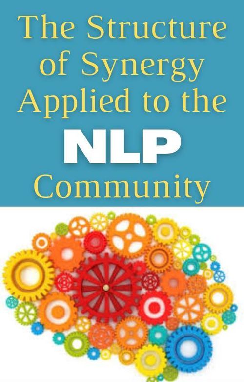 The Structure of Synergy Applied to the NLP Community